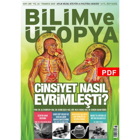 CİNSİYET NASIL EVRİMLEŞTİ? E-DERGİ