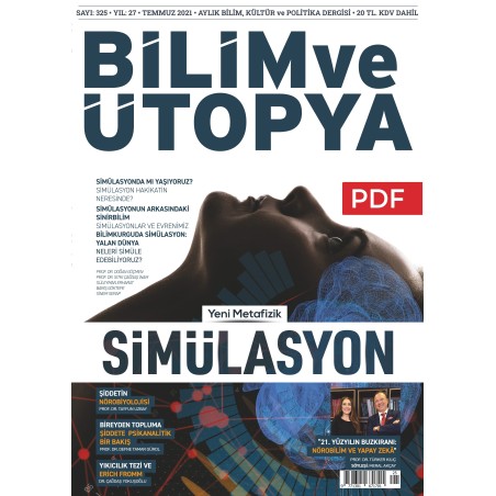 SİMÜLASYON E-DERGİ